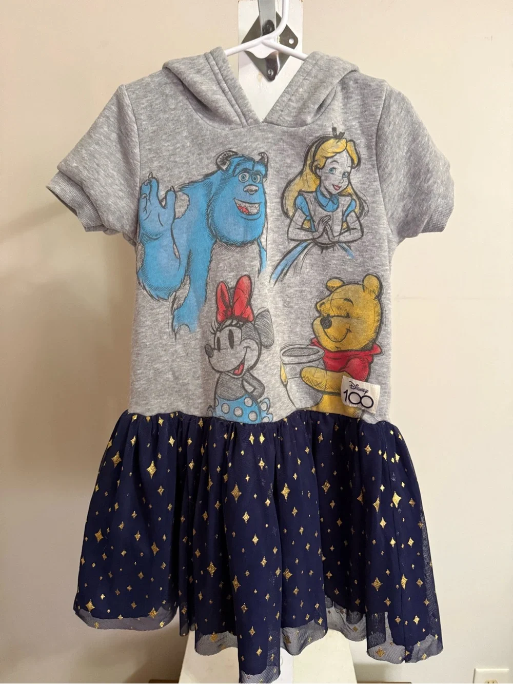 Disney 100th Anniversary Dress